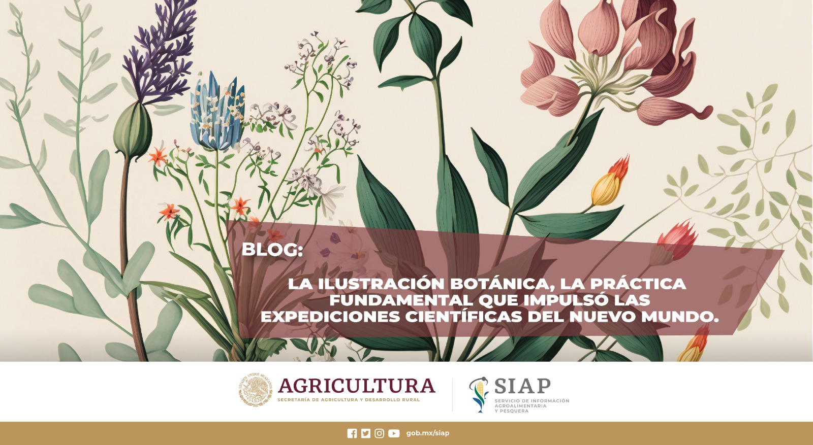 El 18 de mayo, se celebra el Día Internacional de la Ilustración Botánica