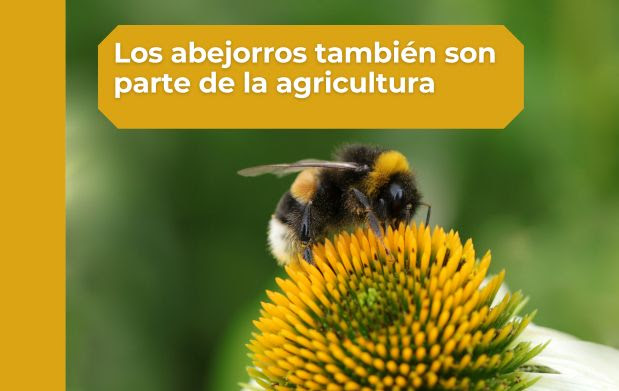 Uso de abejorros en la agricultura.