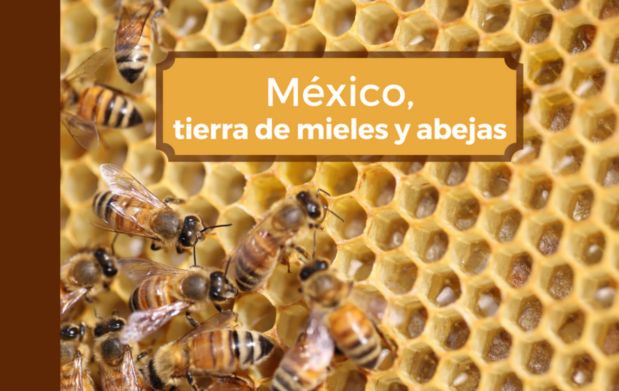 Las abejas como polinizadoras son responsables en gran parte de la seguridad alimentaria y la nutrición.
