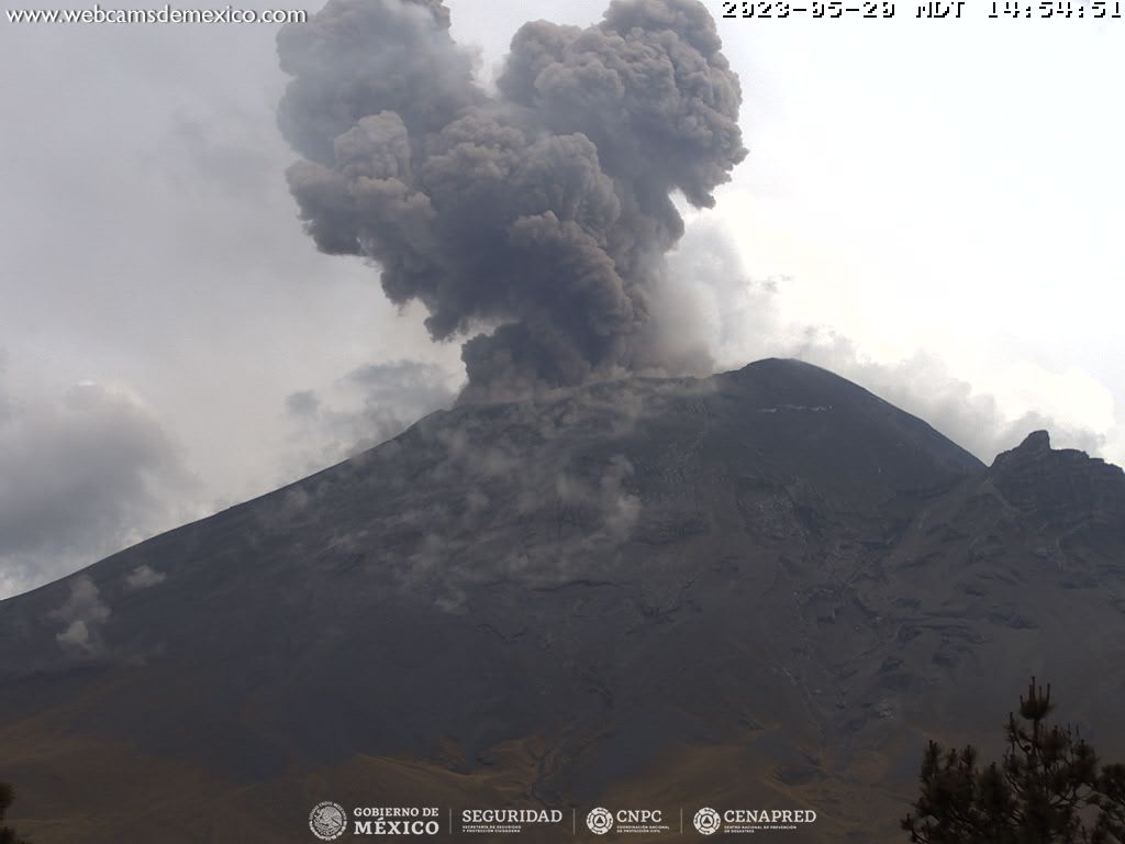 En las últimas 24 horas, mediante los sistemas de monitoreo del volcán Popocatépetl, se detectaron 31 exhalaciones, 1136 minutos de tremor y seis explosiones