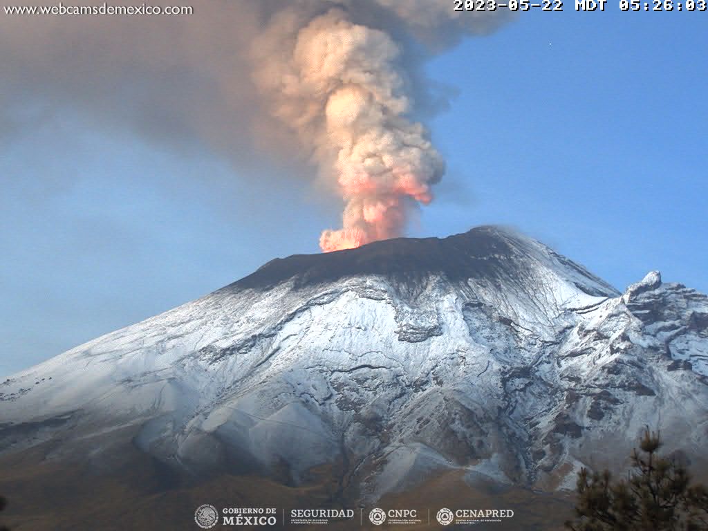 En las últimas 24 horas, mediante los sistemas de monitoreo del volcán Popocatépetl, se detectaron cinco exhalaciones acompañadas de vapor de agua, gases volcánicos y ceniza.