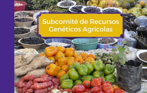 Subcomité de Recursos Genéticos Agrícolas