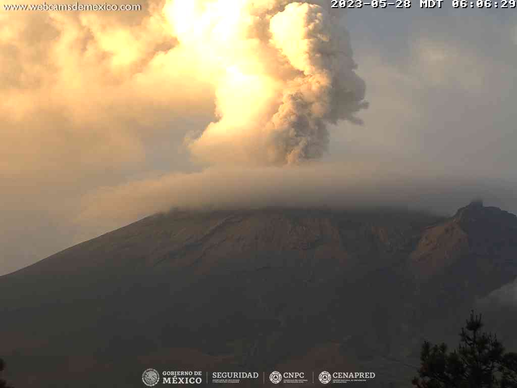En las últimas 24 horas, mediante los sistemas de monitoreo del volcán Popocatépetl, se detectaron 8 exhalaciones y 1417 minutos de tremor. 
