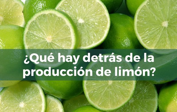 ¿Qué hay detrás de la producción de limón?