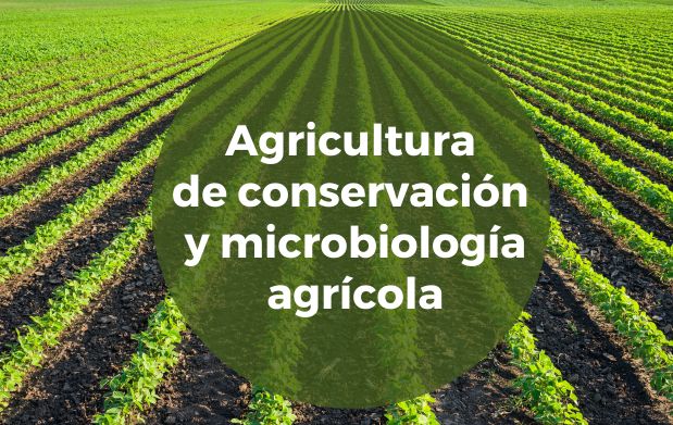 Agricultura de conservación y microbiología agrícola