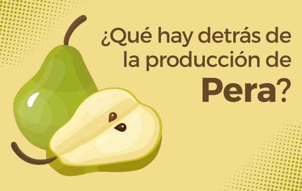 ¿Qué hay detrás de la producción de pera?