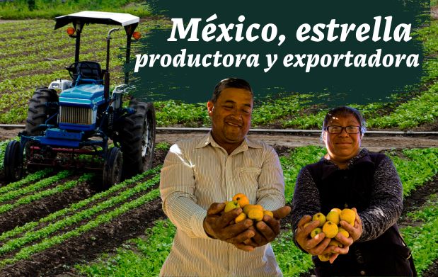 México, estrella productora y exportadora