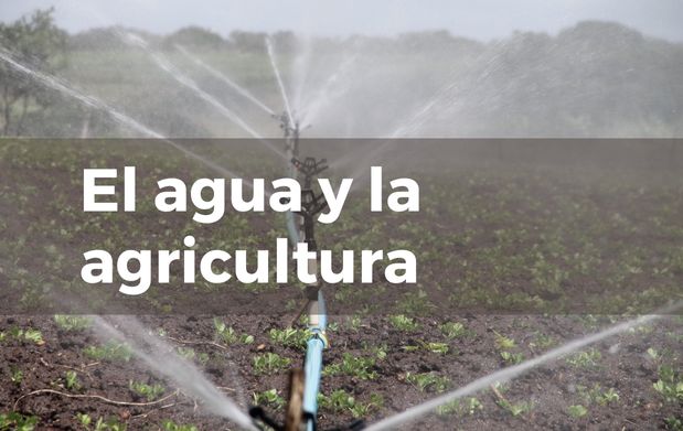 Aguas frescas!, ¡aguas frescas!, Secretaría de Agricultura y Desarrollo  Rural, Gobierno