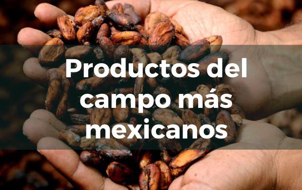 Productos más mexicanos.