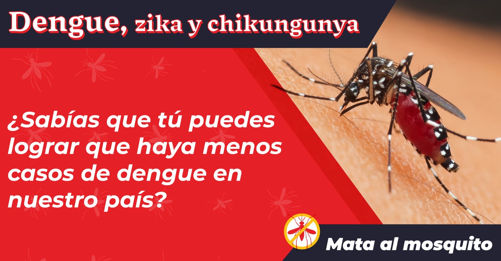 Imagen con el mosquito del dengue con el texto "¿Sabías que tú puedes lograr que haya menos casos de dengue en nuestro país?"