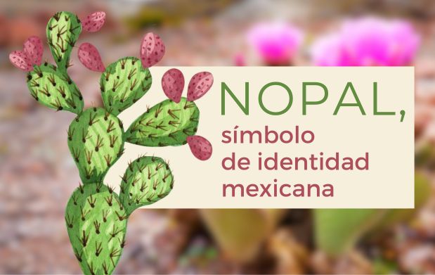 Nopal, símbolo de identidad