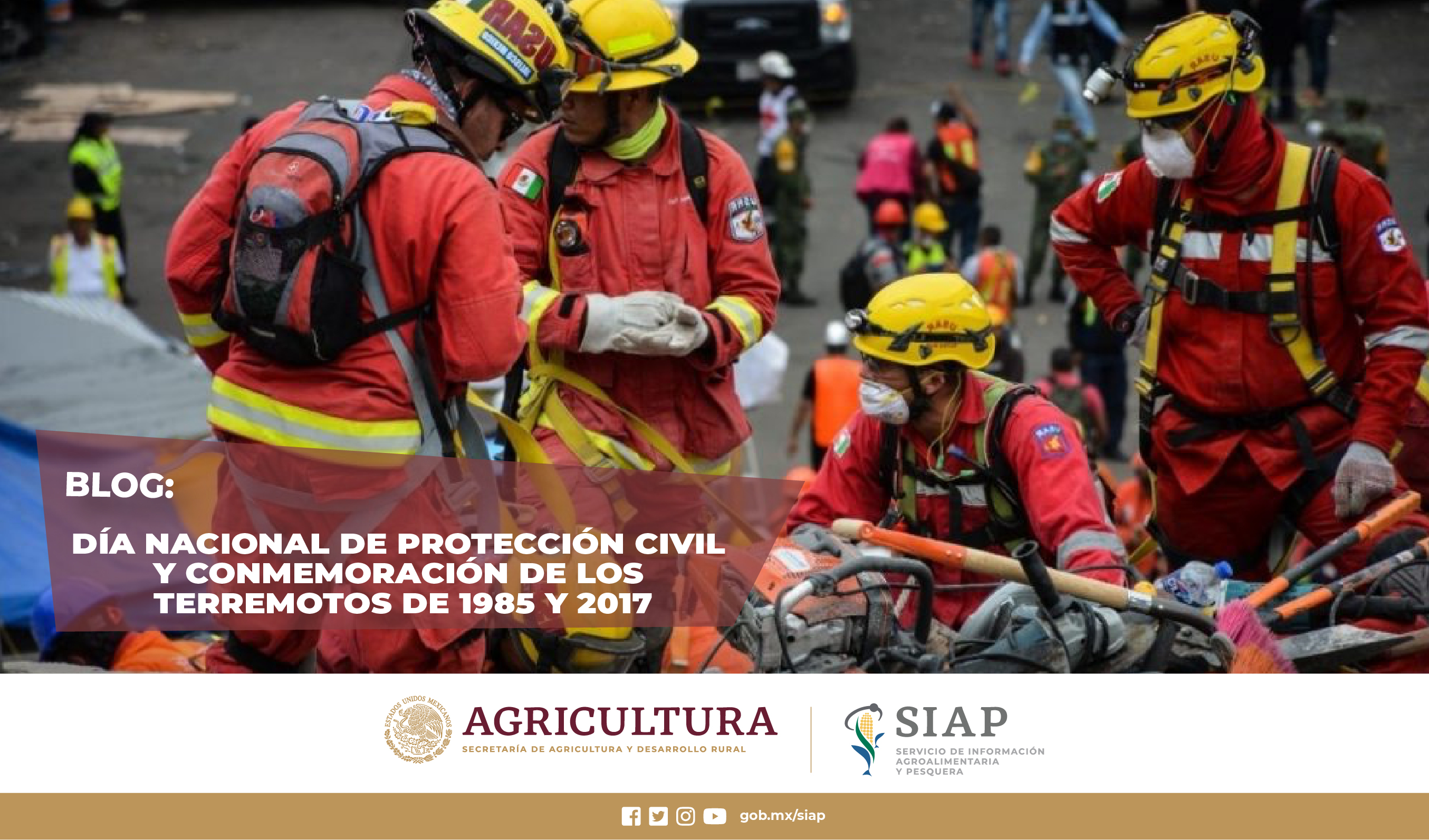 Día nacional, protección civil, terremotos, 1987, 2017, México