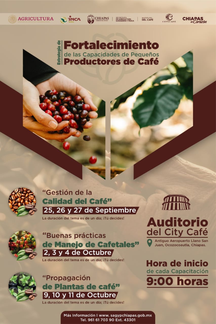 SAGyP Chiapas e INCA Rural fortalecen capacidades de pequeños 
productores de café.
