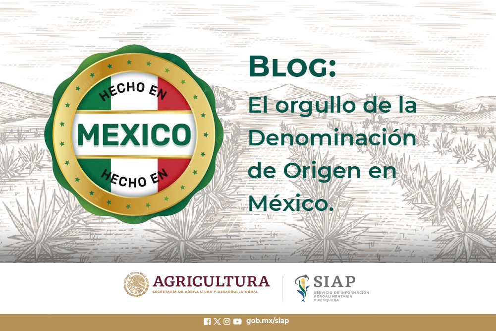 Los productos mexicanos del sector agroalimentario con denominación de origen. 