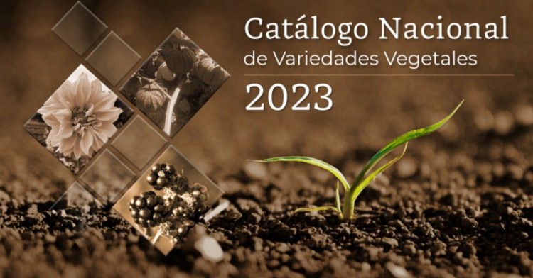 CATÁLOGO NACIONAL DE VARIEDADES DEVEGALES (CNVV) 2023