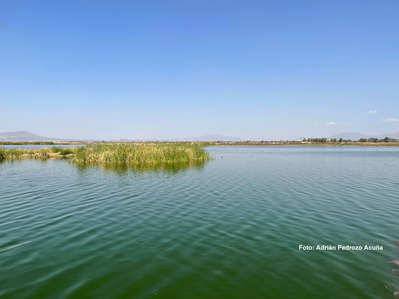 Día mundial de los humedales: recuperación hidrológica y social del lago de Texcoco