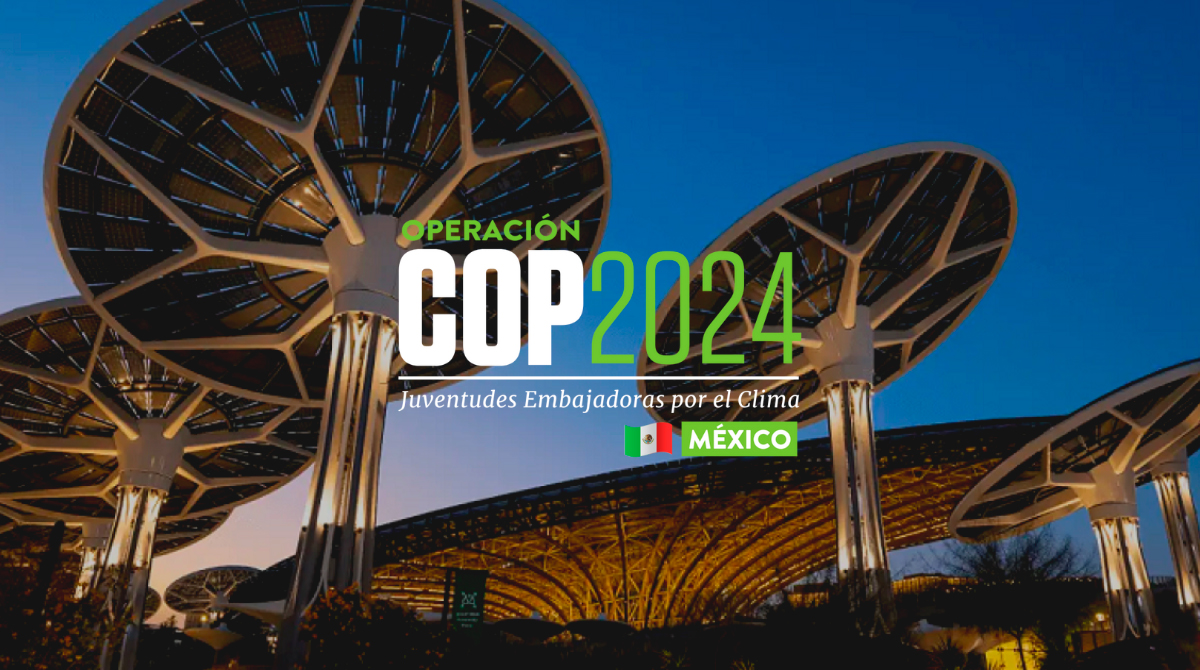 Operación COP 2024