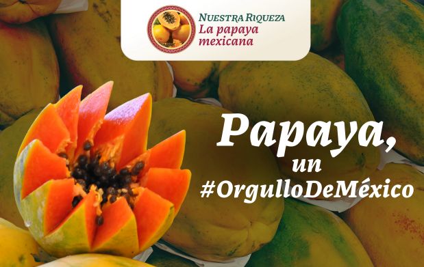 Gracias al trabajo de las y los #HéroesDeLaAlimentación, el cultivo de papaya nos coloca dentro de las naciones líderes en la producción de este fruto.