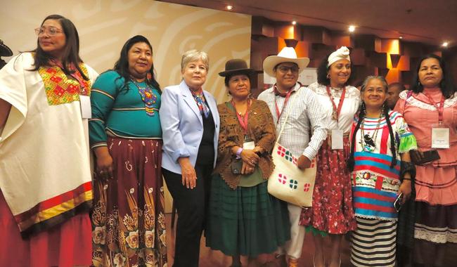 Foreign Secretary Alicia Bárcena inaugurates a Latin American seminar on the UN Declaration on the Rights of Indigenous Peoples