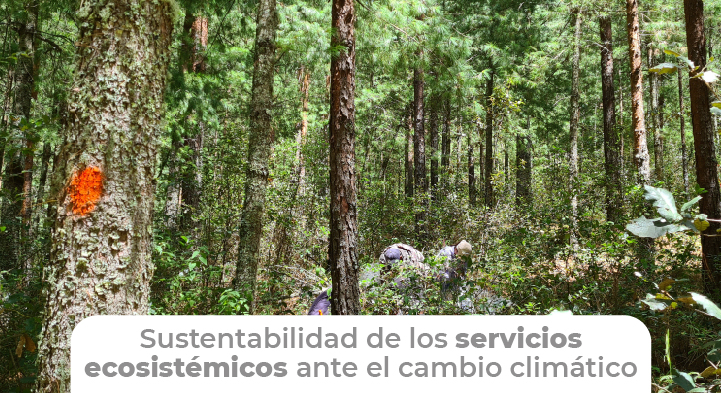Generar información científica y tecnológica que se incorpore a nuevas estrategias de manejo forestal