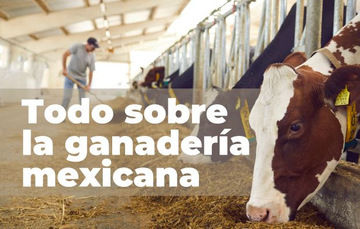 Desde la producción de carne y leche hasta la apicultura, cada aspecto de esta industria refleja el compromiso de México con la calidad y la excelencia.