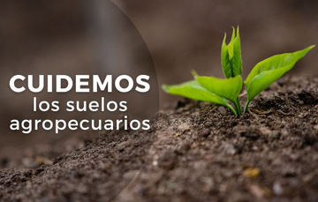 Se estima que el 64% de los suelos en México presentan algún grado de erosión y que un 25% de las producciones agrícolas tiene como principal problema la pérdida de fertilidad del suelo.
