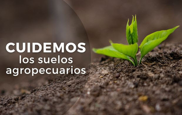 Se estima que el 64% de los suelos en México presentan algún grado de erosión y que un 25% de las producciones agrícolas tiene como principal problema la pérdida de fertilidad del suelo.