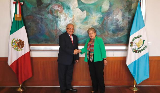 Foreign Secretary Alicia Bárcena meets with Foreign Minister Carlos Ramiro Martínez of Guatemala on his first official visit to Mexico