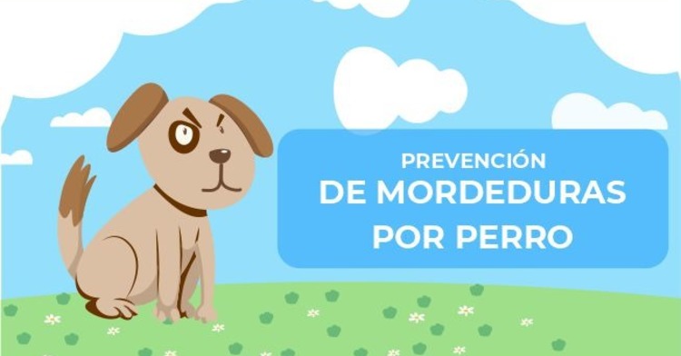 PREVENCIÓN DE MORDEDURAS POR PERRO
