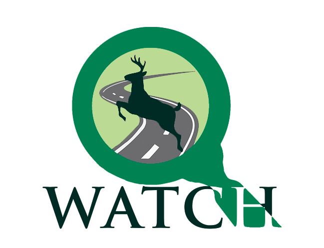 WATCHMX es una plataforma creada para monitorear la fauna que cruza las carreteras en México
