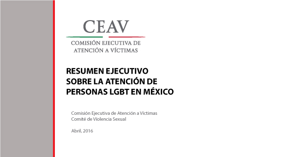 RESUMEN EJECUTIVO SOBRE LA ATENCIÓN DE PERSONAS LGBT EN MÉXICO