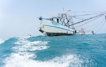 Comisión Nacional de Acuacultura y Pesca