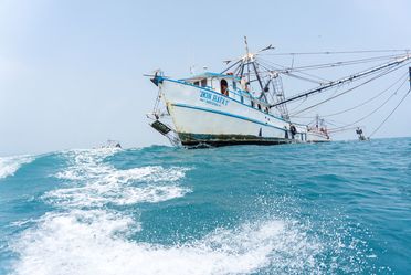 Comisión Nacional de Acuacultura y Pesca