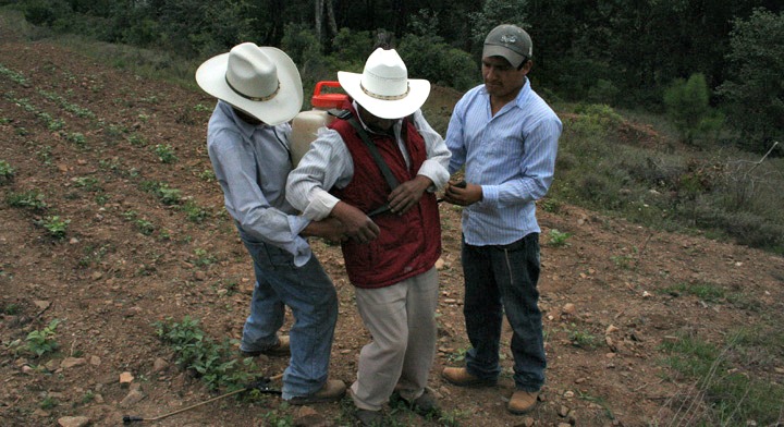 Campesinos aprendiendo a usar una aspersora manual  