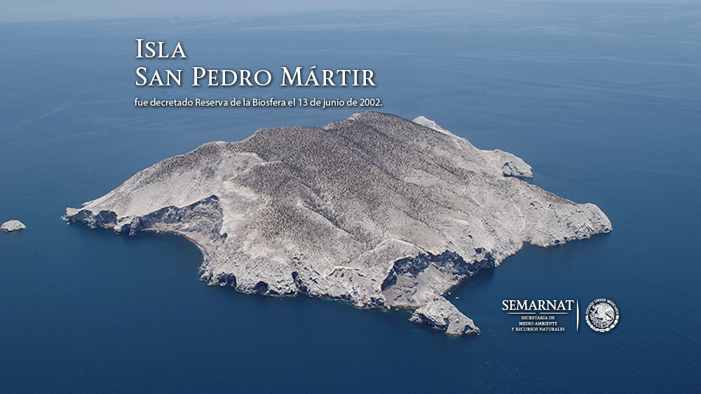 Isla de San Pedro Mártir, BC.