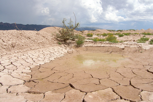 México lleva a cabo acciones para combatir la desertificación de los suelos.