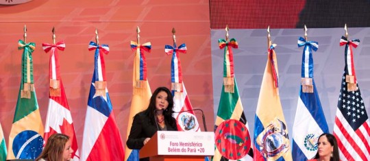 Laura Vargas Carrillo, directora general del organismo, participó en el Foro Hemisférico “La Convención de Belém do Pará y la prevención de la violencia contra las mujeres: Buenas prácticas y propuestas a futuro.