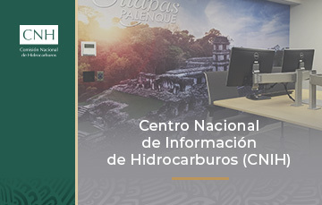 Centro Nacional de Información de Hidrocarburos (CNIH)

