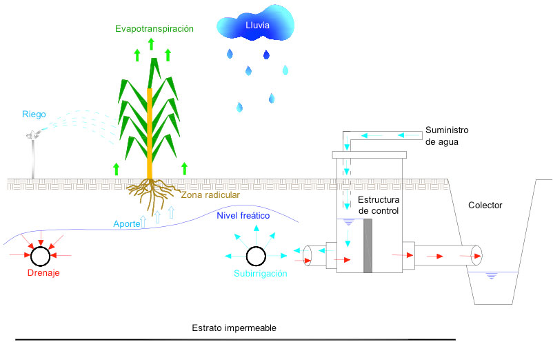 Componentes del proceso de regulación del régimen de humedad del suelo.
