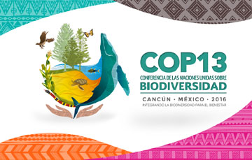 México, sede de la COP13.