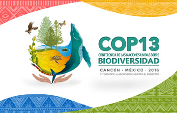México rumbo a la COP13