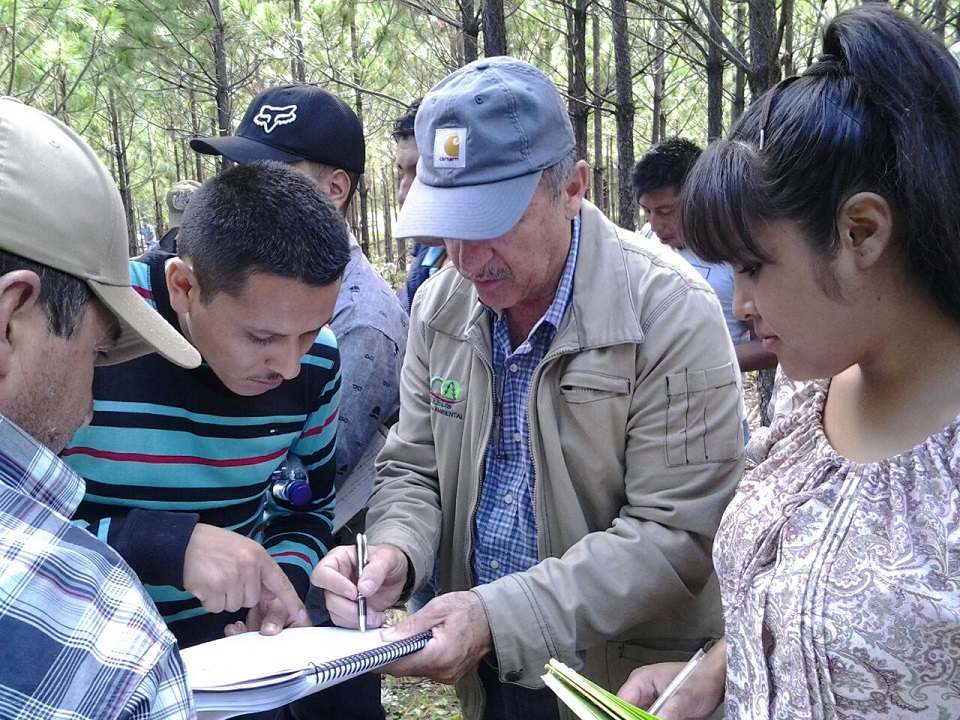Promotor Forestal Comunitario: en busca del bienestar de los dueños de bosque