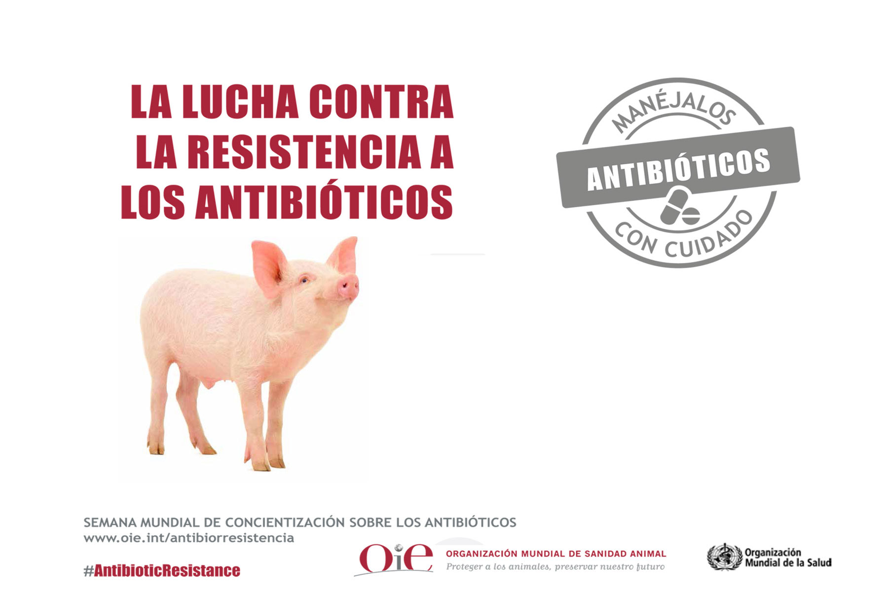 Los antibióticos son un recurso básico para la salud humana, la sanidad y el bienestar animal.