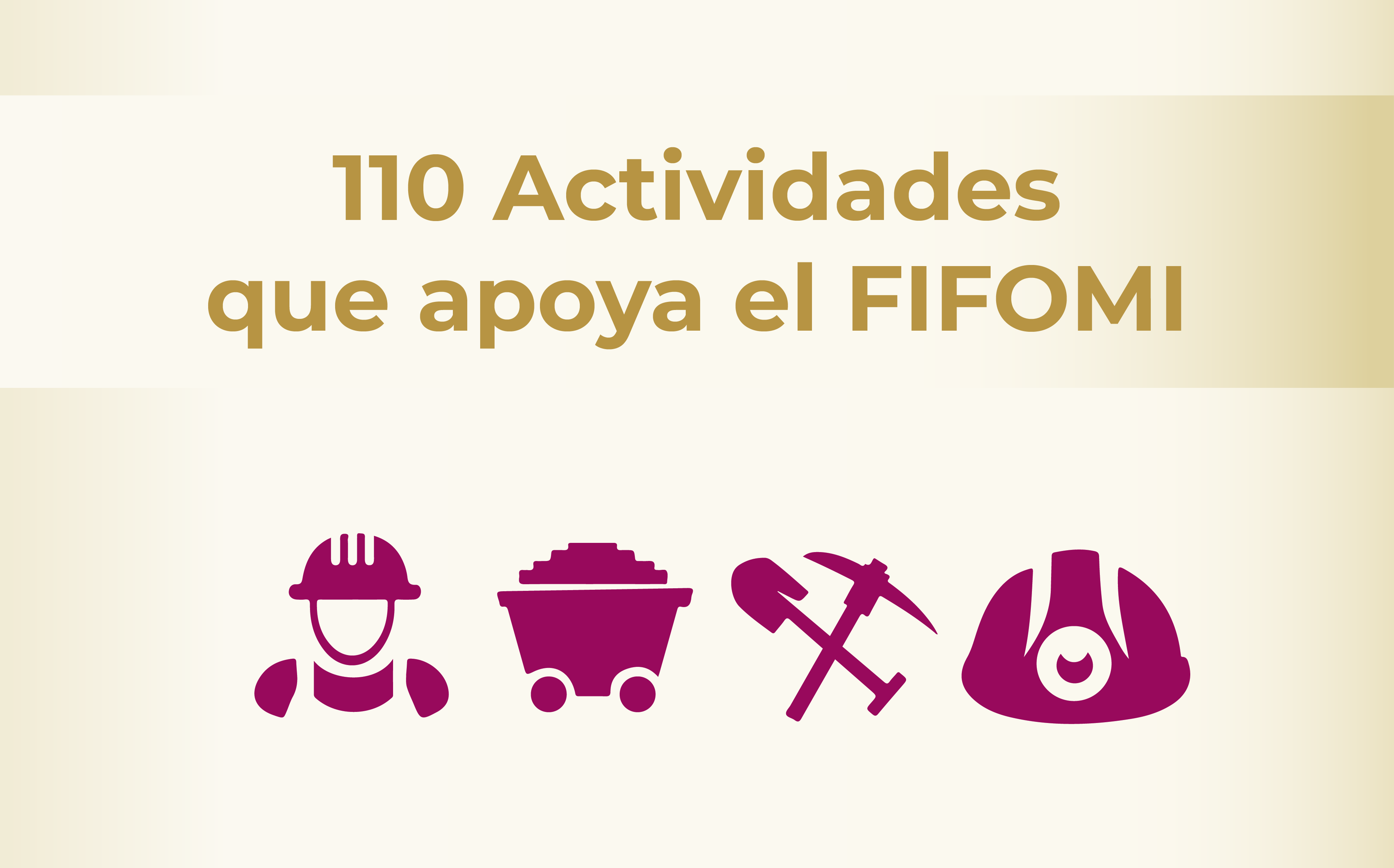 Actividades que apoya el FIFOMI