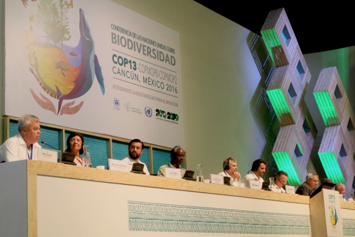 En la COP13 se celebra propuesta de la FAO de crear Plataforma para la Integración de la Biodiversidad en la Agricultura y la Alimentación 