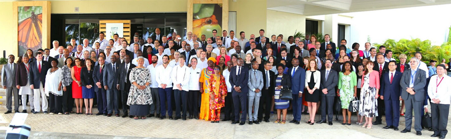 Representantes de 196 países se reunieron en la COP13 en Cancún, QRoo.