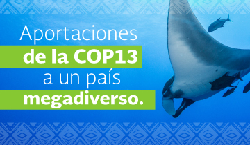 La COP13 fue un catalizador de acuerdos en favor de la biodiversidad