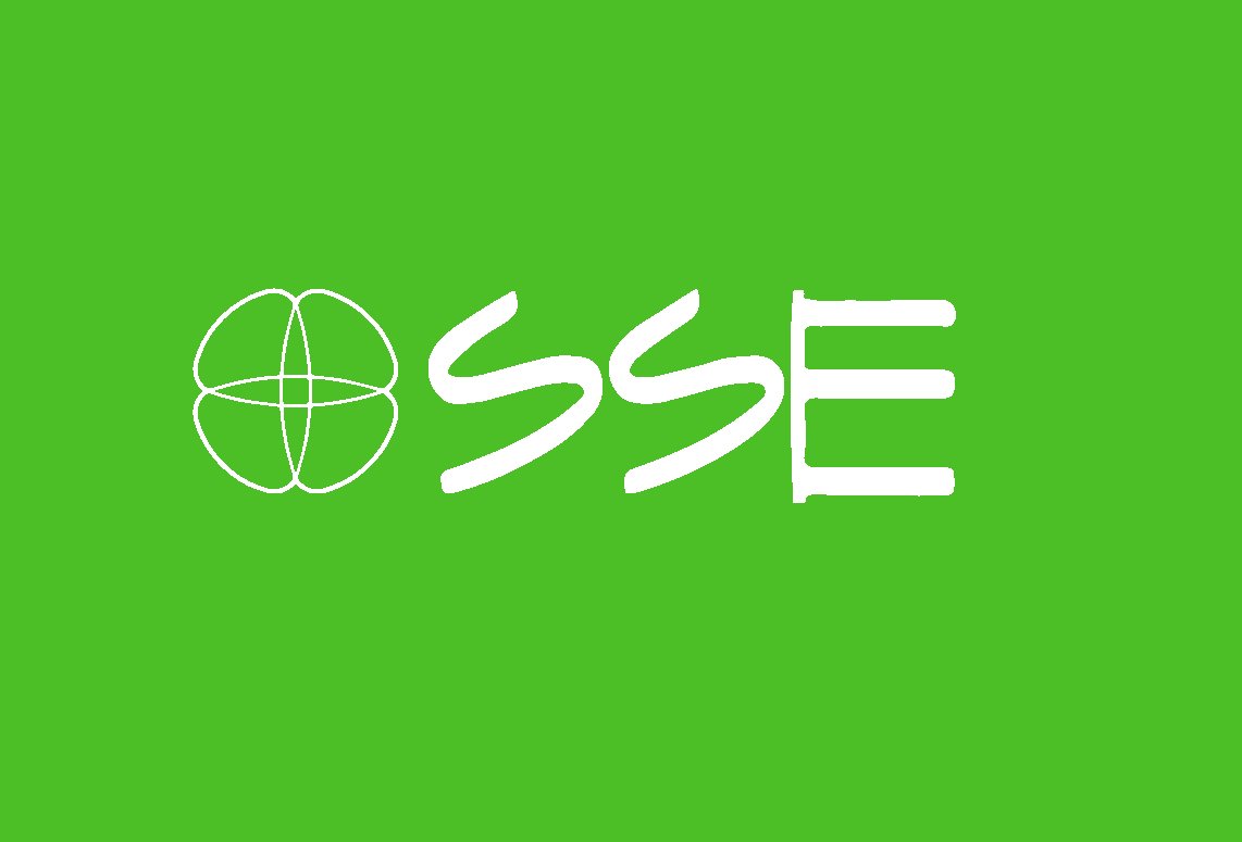 Logo del Observatorio del Sector Social de la Economía