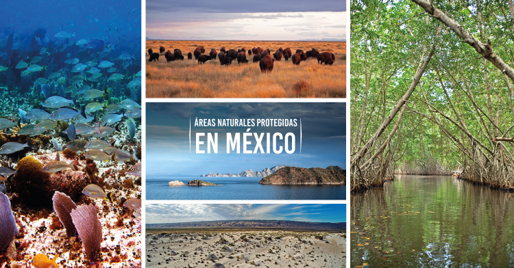 México cuenta con 181 áreas naturales protegidas federales.