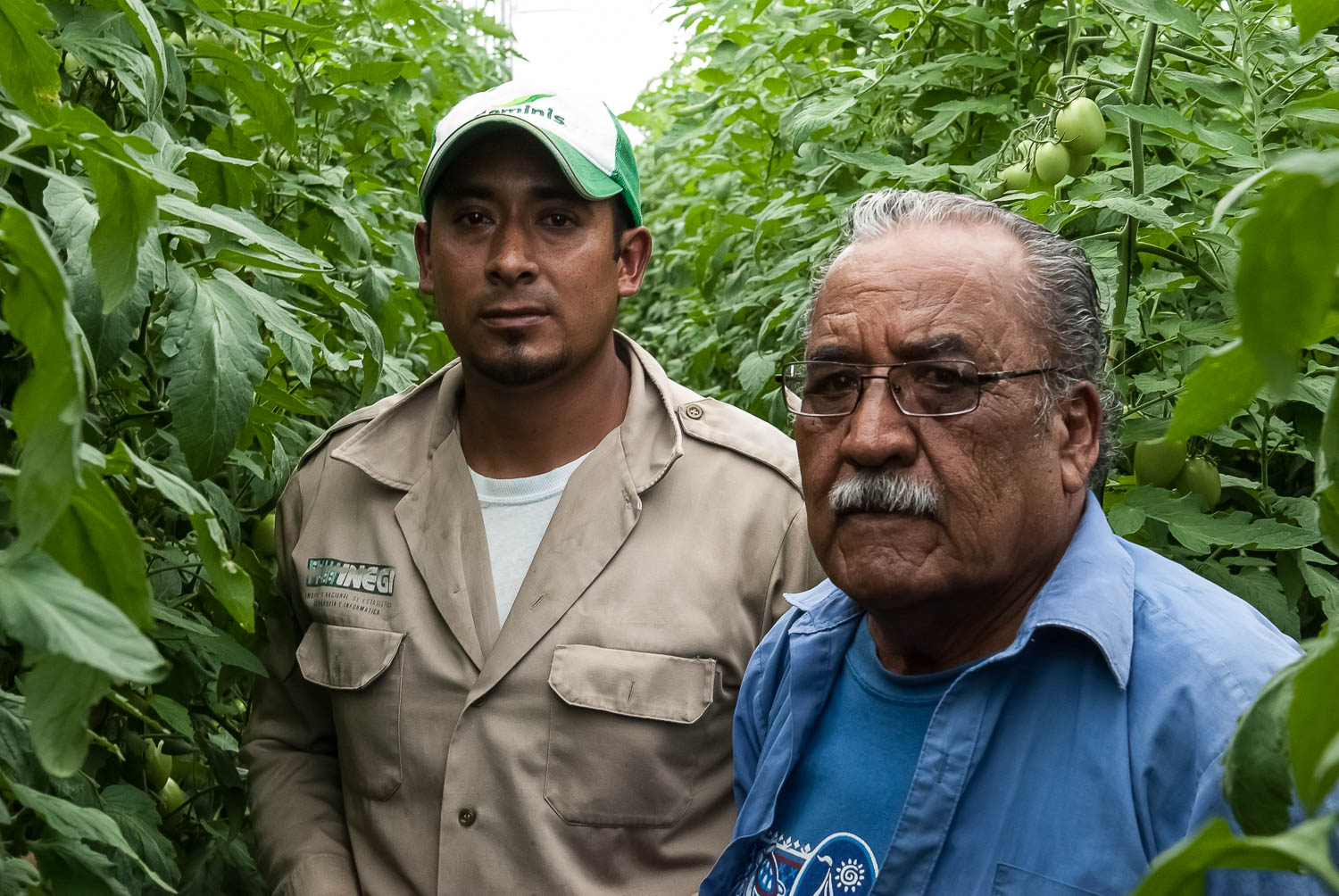 Empresarios sociales, apoyados por el INAES, que producen tomate en Oaxaca. 